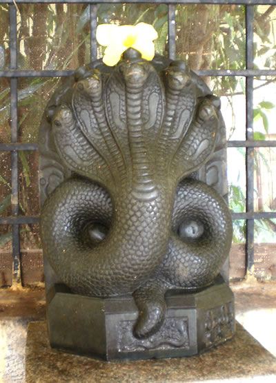 Lord Nagadevata
